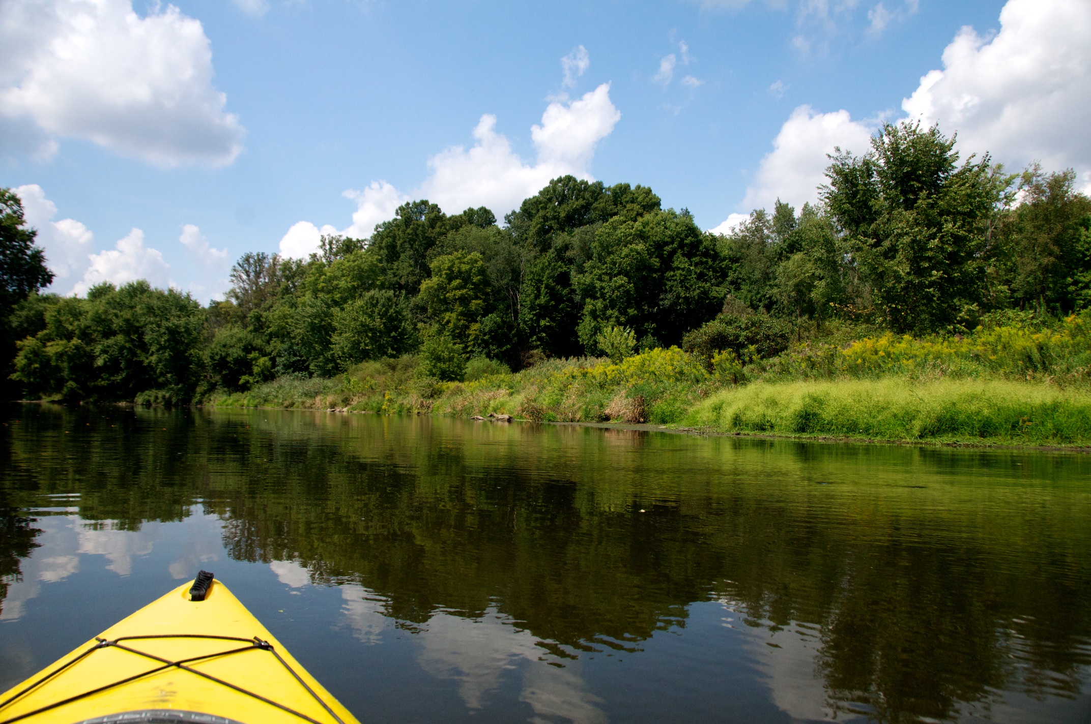 Kayaking the Middle Cuyahoga River